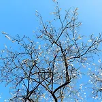 L'amour Pur Сasa de vacaciones Schoorl