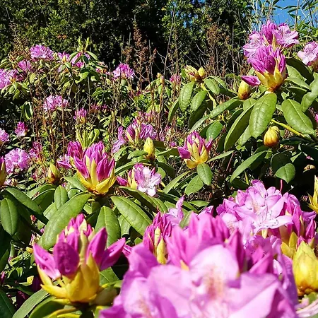 Vakantiehuis L'amour Pur Schoorl