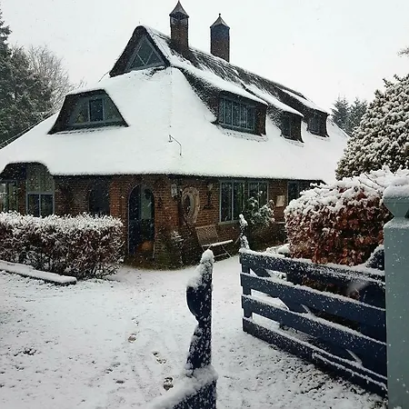 Vakantiehuis L'amour Pur Schoorl