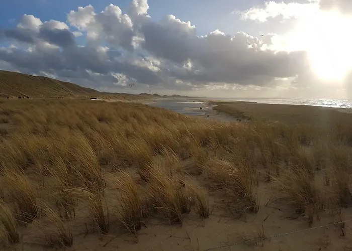 Tatil Evi L'amour Pur *