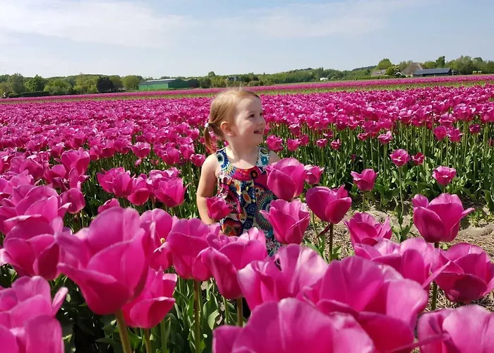 L'amour Pur سكورل