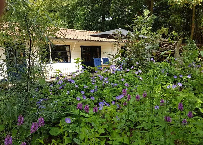 Tatil Evi L'amour Pur *