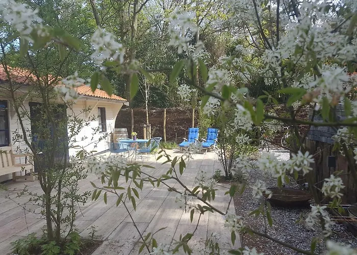 Tatil Evi L'amour Pur *