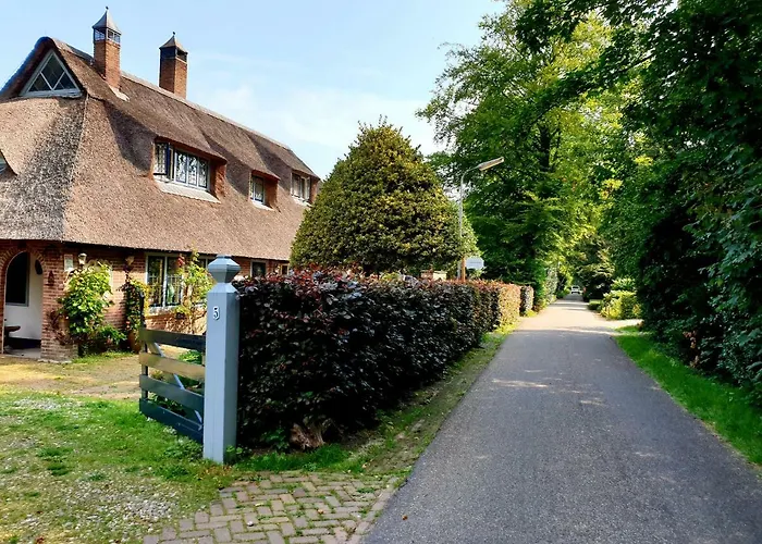 Tatil Evi L'amour Pur