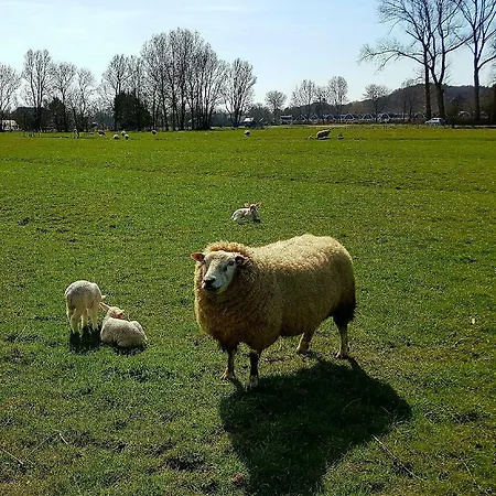 L'amour Pur Casa vacanze *
