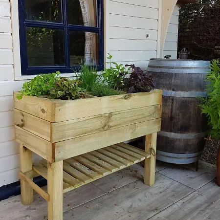 Casa vacanze L'amour Pur Schoorl