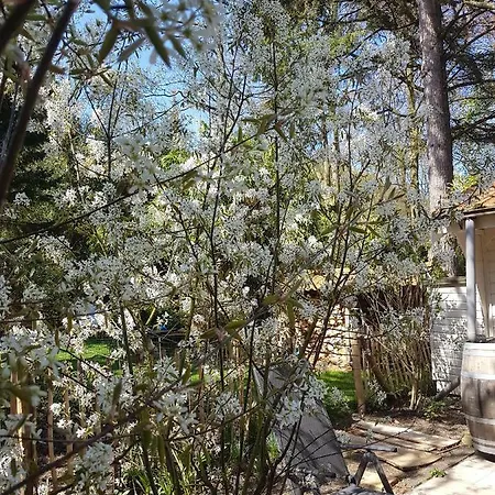 L'amour Pur Casa vacanze Schoorl