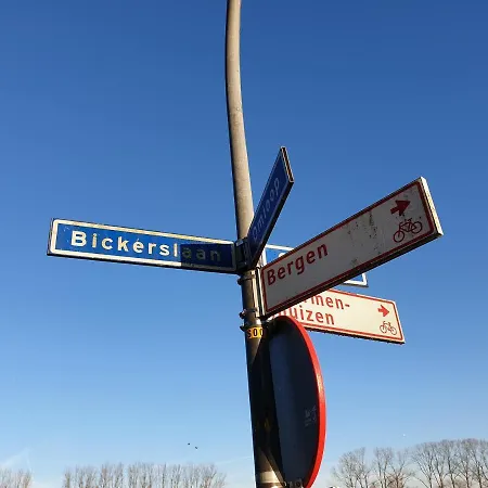 L'amour Pur Схорл