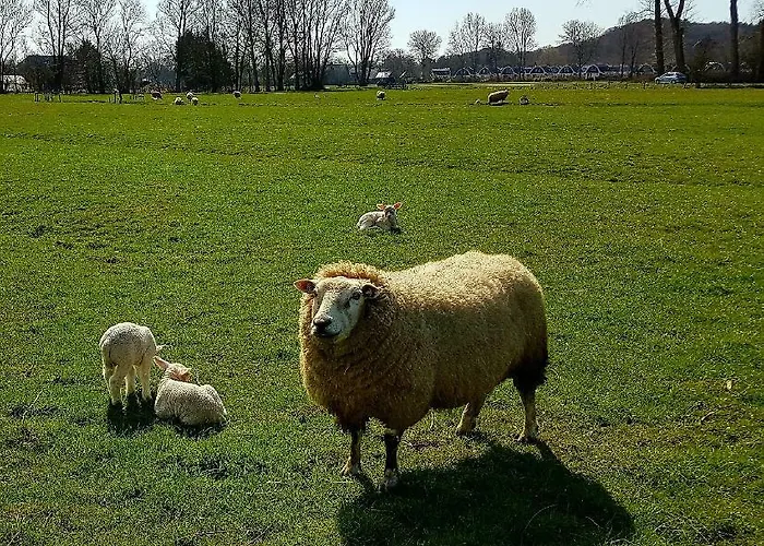 L'amour Pur Ferienhaus *