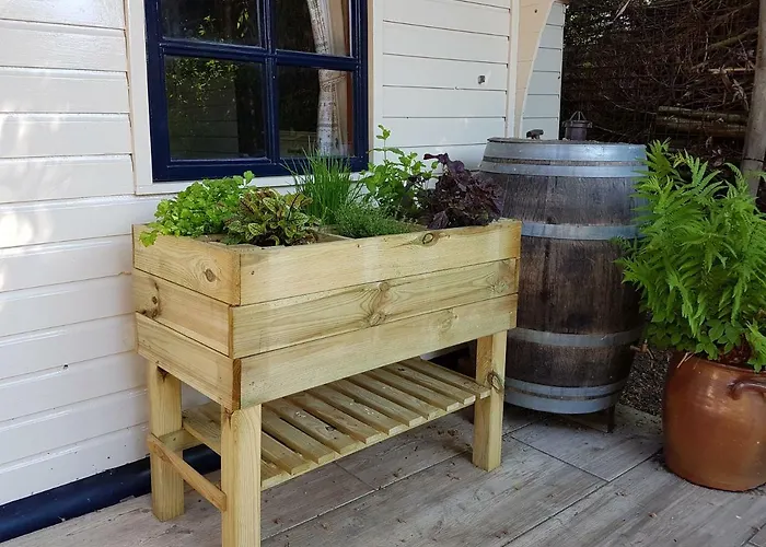 Ferienhaus L'amour Pur Schoorl